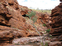 _and we meet the Chain of Ponds